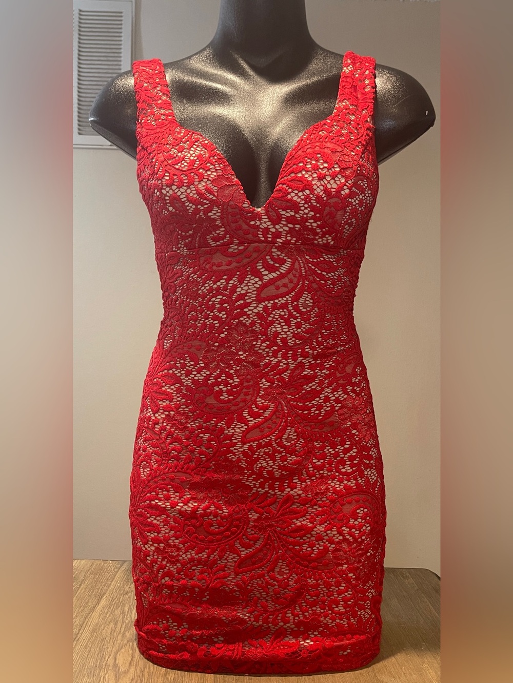 Emerald Sundae Red Lace V-Plunge Mini Dress, Size Small